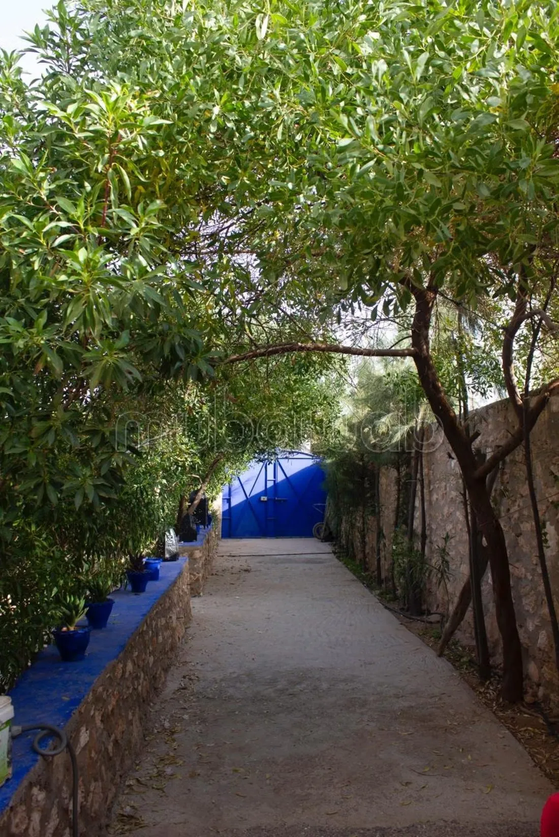 Maison confortable à la campagne – Idawgard, près d’Essaouir... - Aguerd