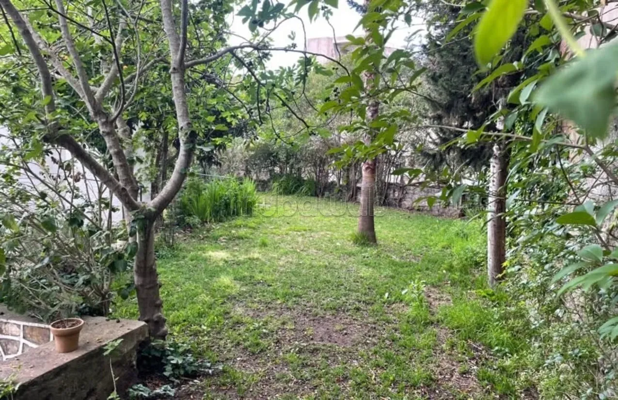 Villa a louer a tanger avec jardin surface terrain 1200m² - طنجة