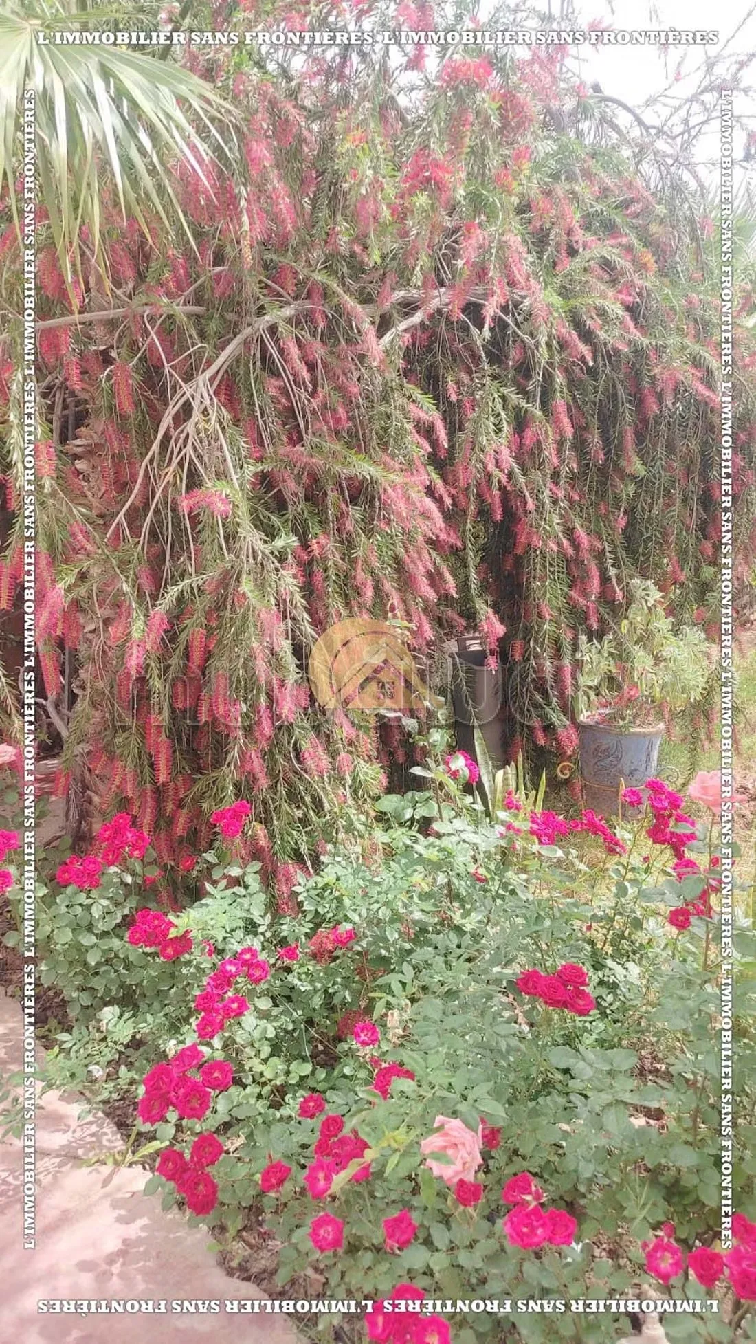Maison meublée à louer – Tamazouzt, proche de Marrakech - سيدي عبد الله غيات (3)