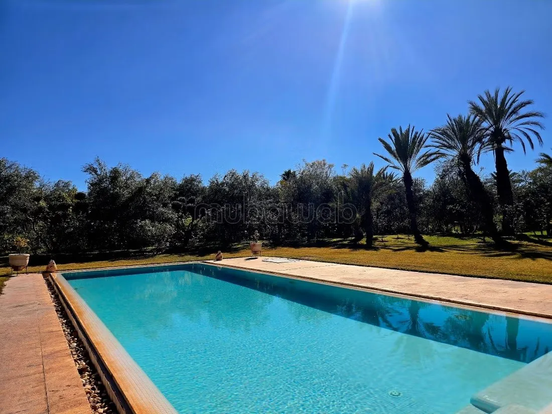 Villa 4 suites longue durée sur 1ha à 15min centre - مراكش (3)