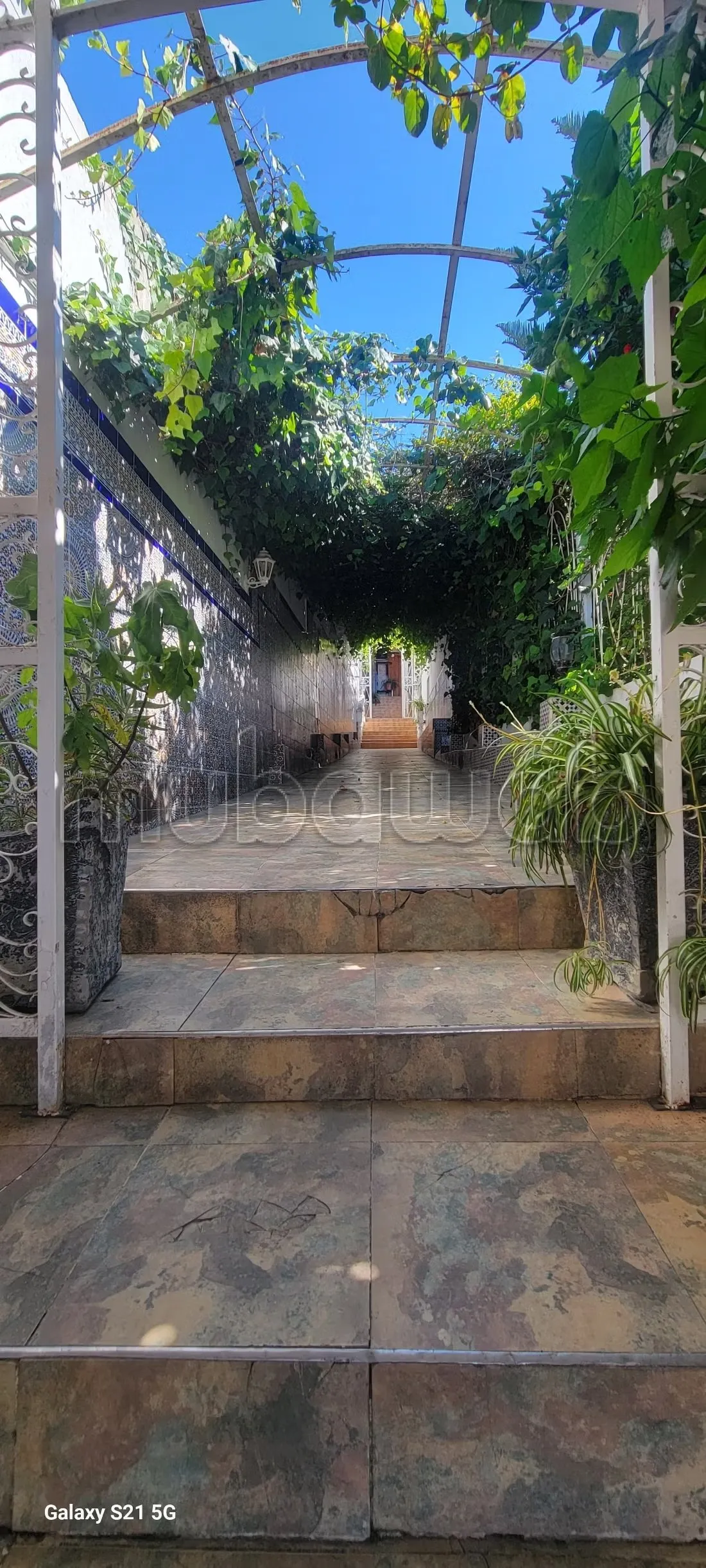 Grande villa a louer. Surface de 1100 m². Meublé - طنجة (3)