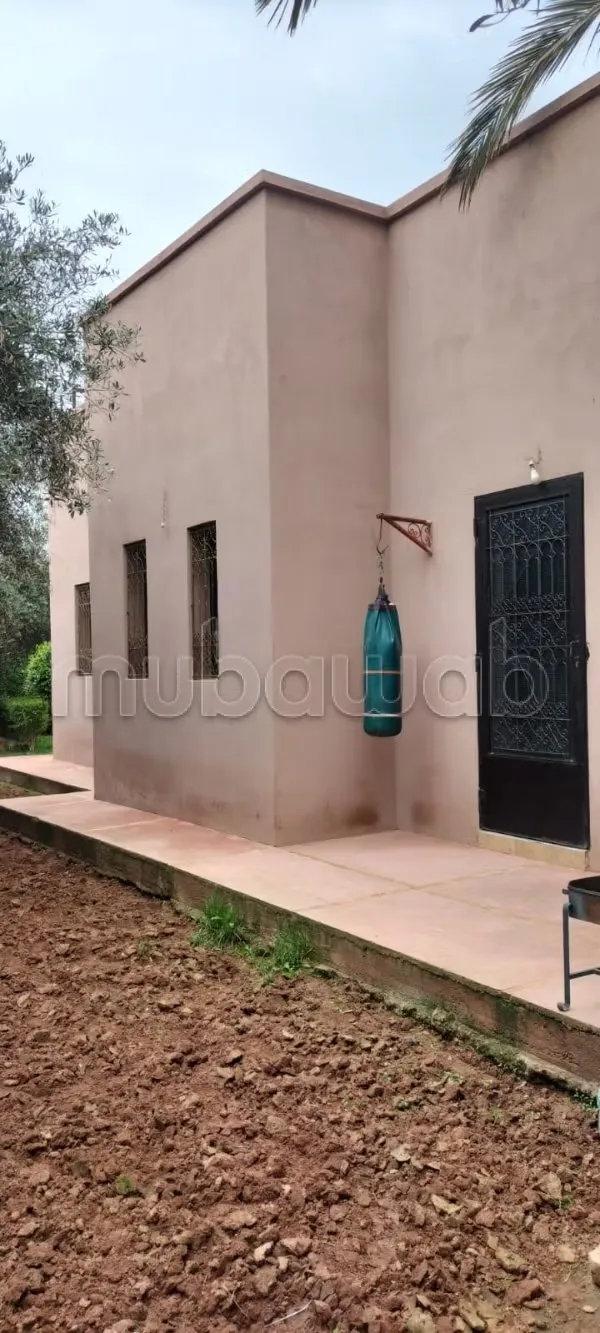 Très belle maison pas chère sur route de fès - Alouidane (2)