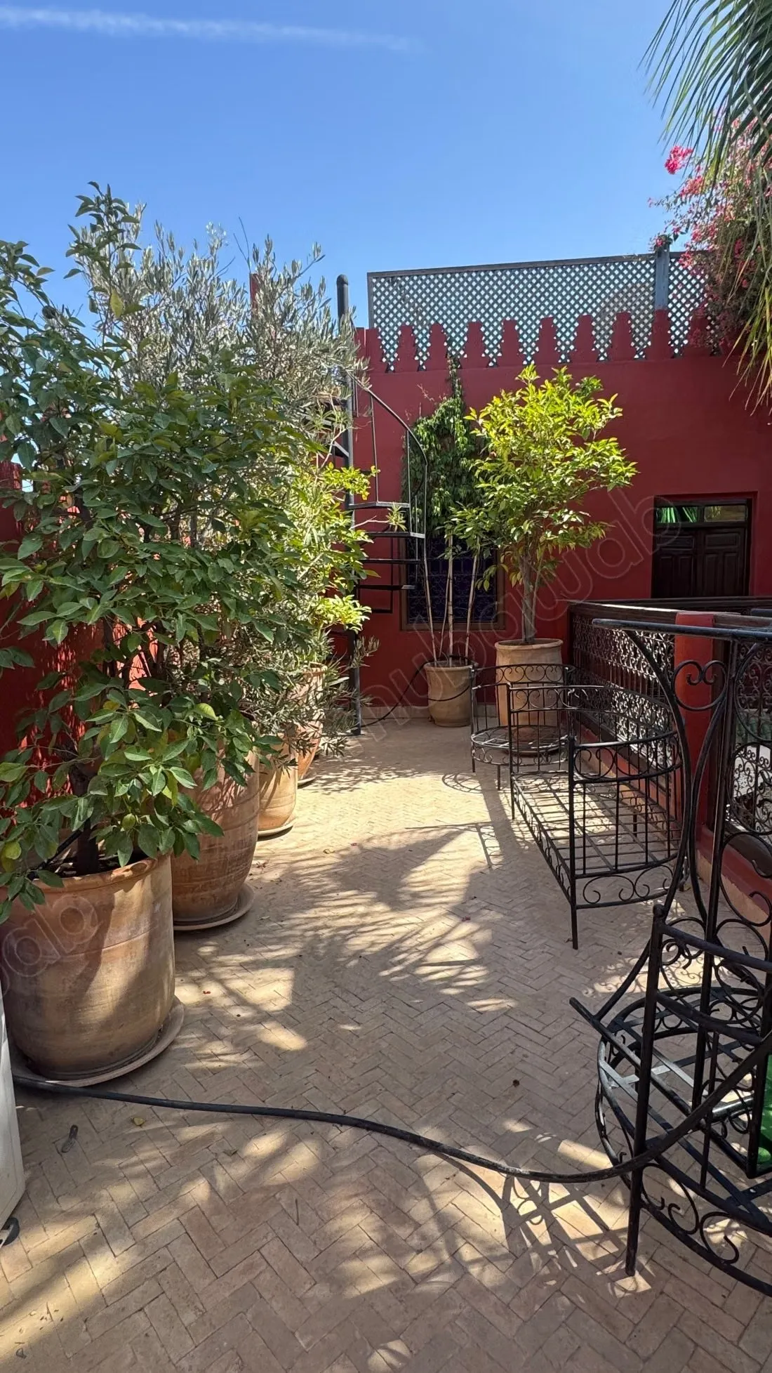 Splendide Riad de caractère 5 chambres Titré - مراكش (2)
