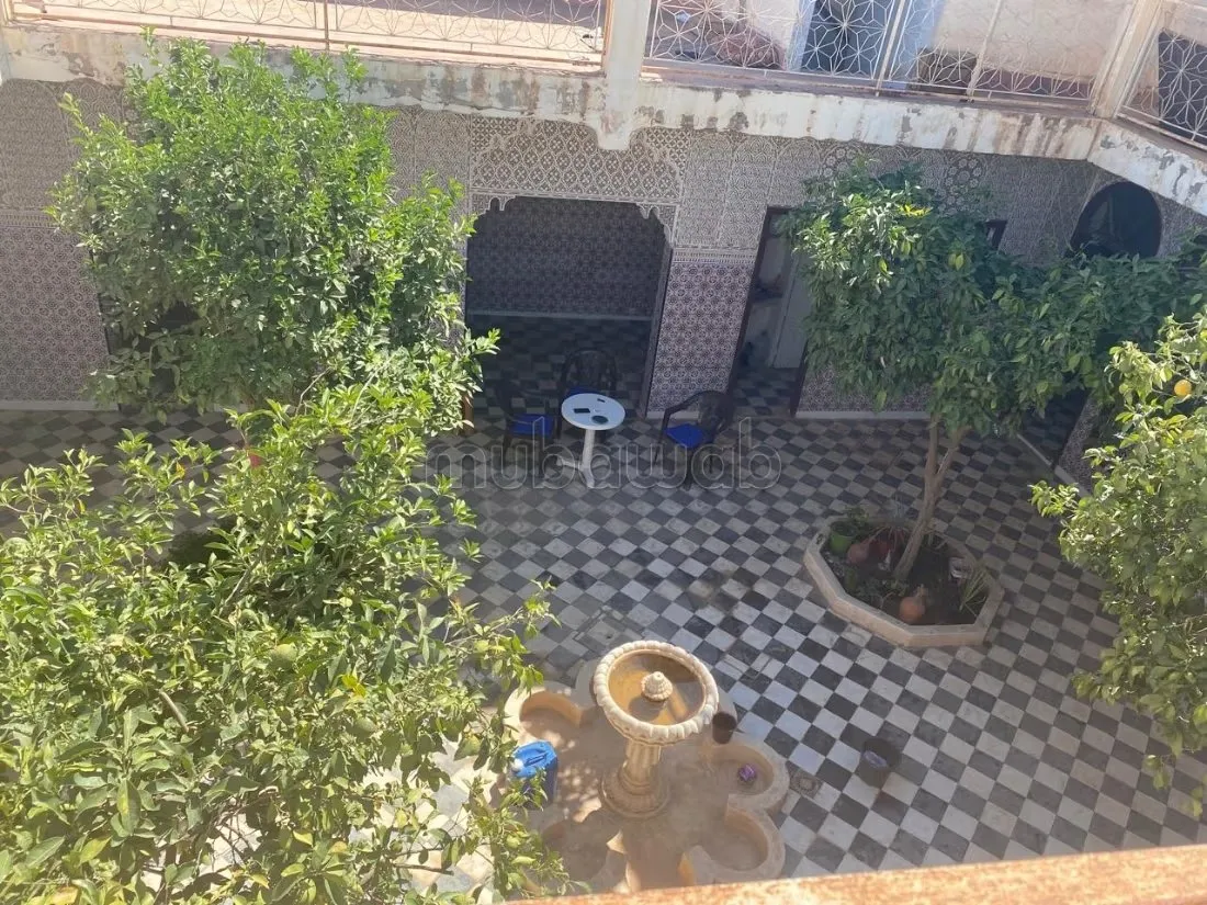 Un ancien Riad en ruine au cœur de la Palmeraie - مراكش (3)