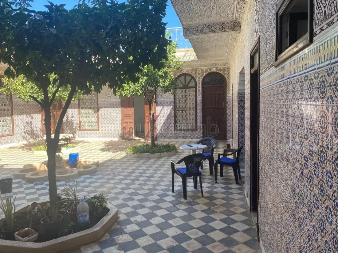 Un ancien Riad en ruine au cœur de la Palmeraie - مراكش (2)