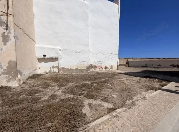 Terrain titré à 50 m de l’océan Médina - الصويرة (3)