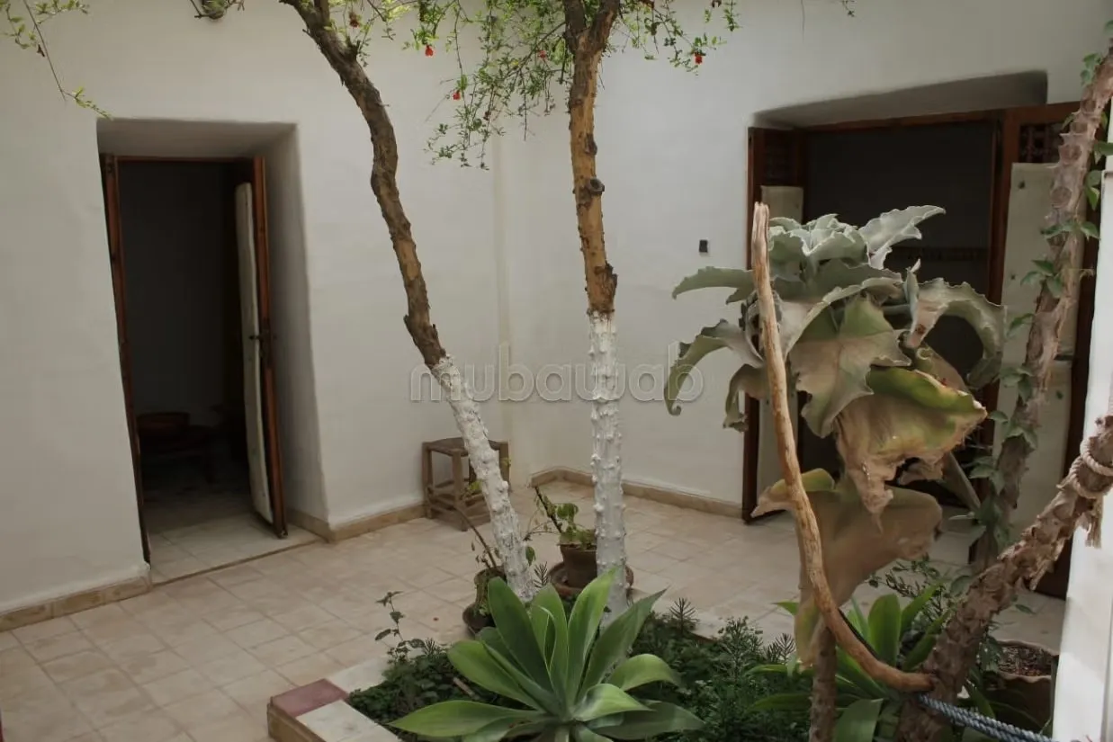Riad titre en medina de taroudant - تارودانت