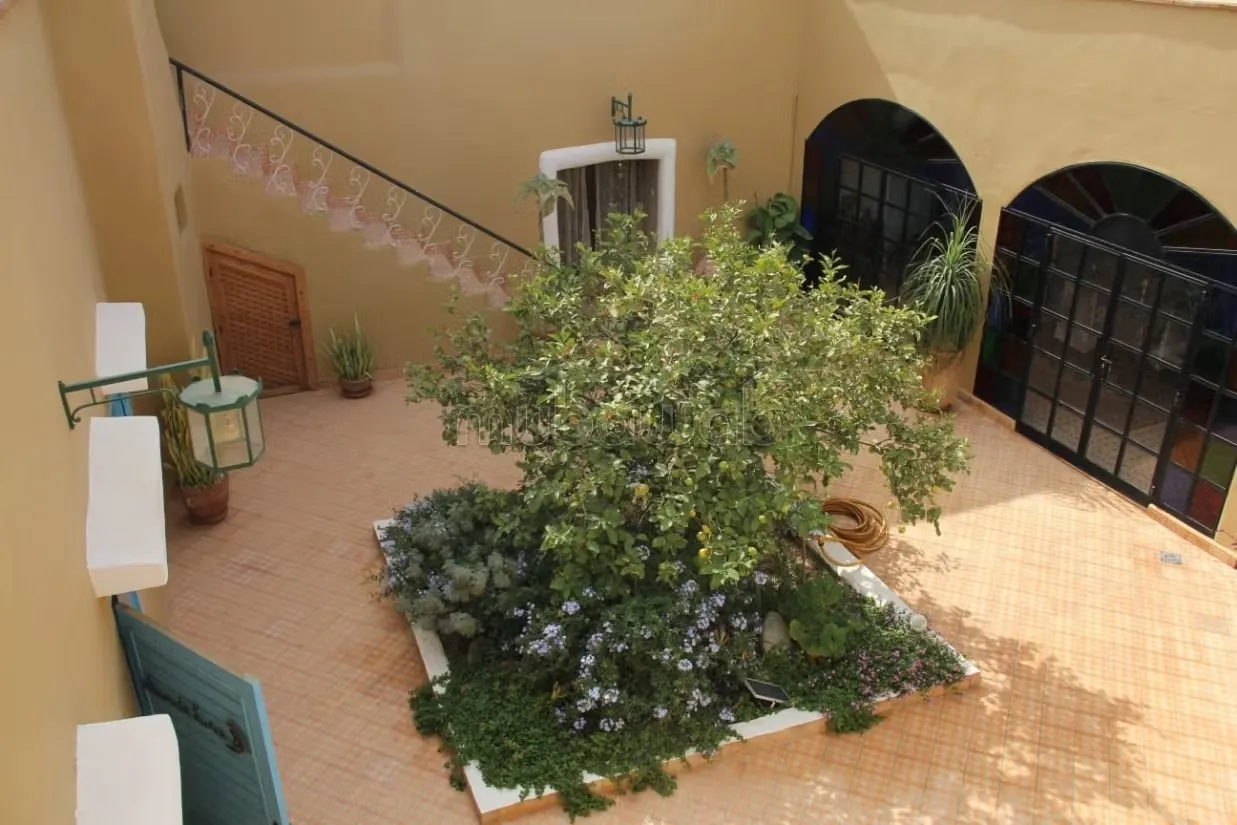 Tres beau riad renove en zone agricole - تارودانت