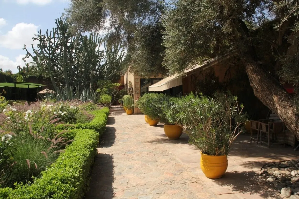 Riad veritable havre de paix - تارودانت (3)