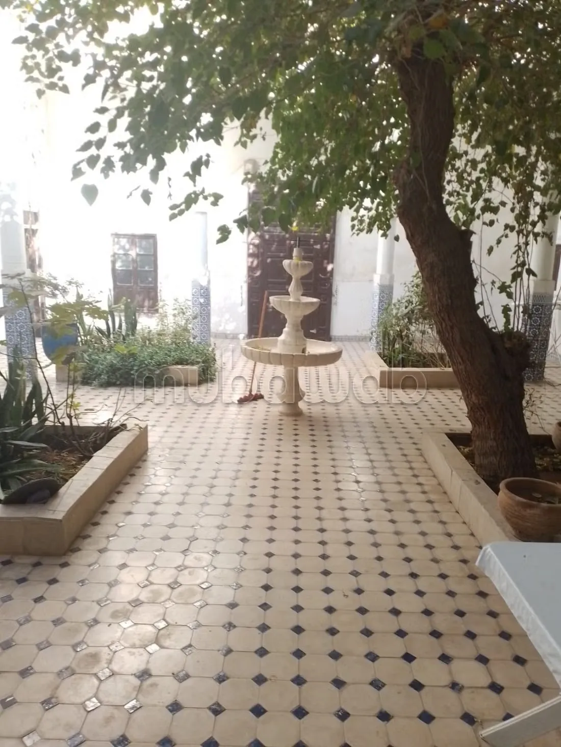 Riad à rénover Bab Doukkala 14 ch, 288 m² au sol - مراكش (2)