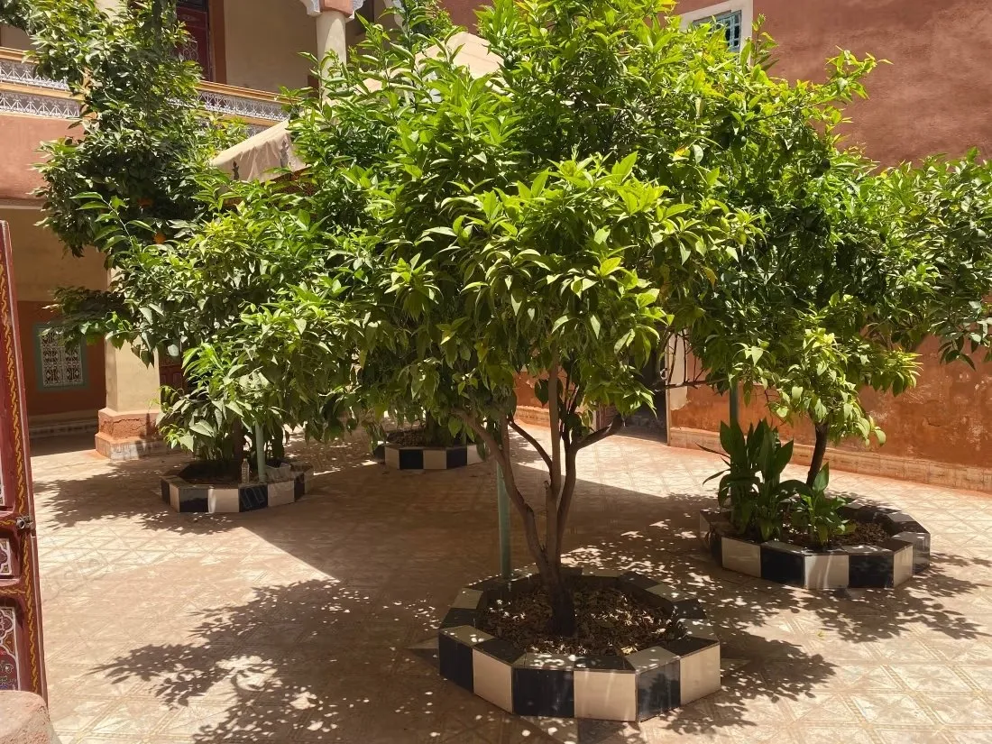 Riad melkia 243 m² au sol à Zaouia El Abbassia - مراكش
