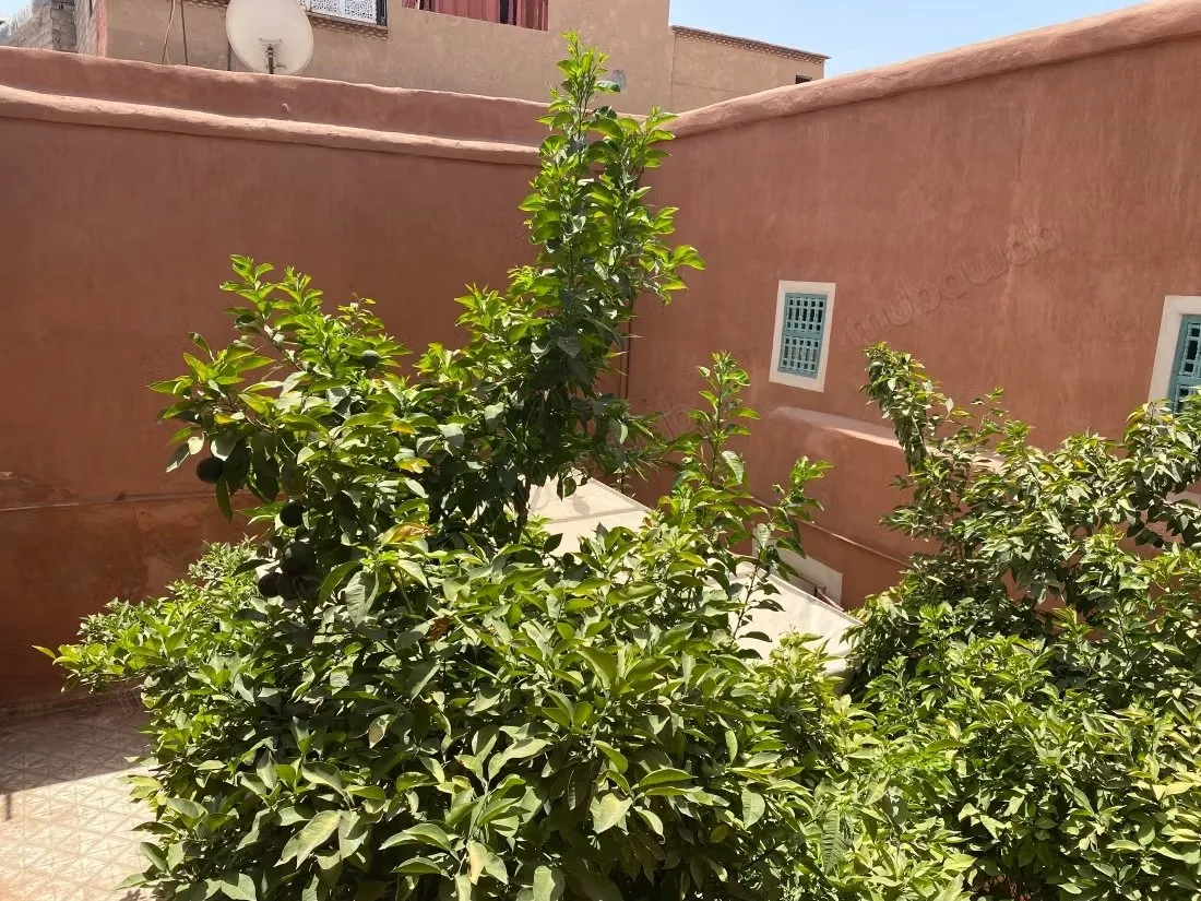 Riad melkia 243 m² au sol à Zaouia El Abbassia - مراكش (2)