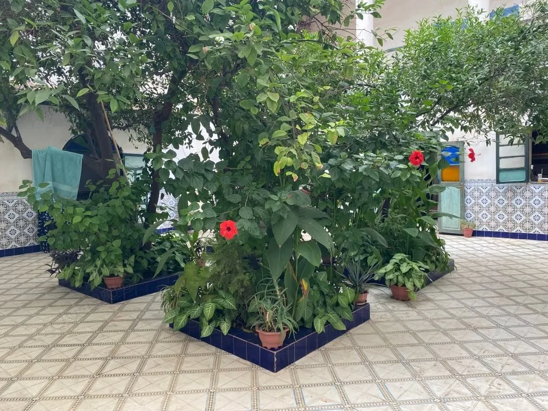 Riad de 297 m² au sol à rénover – Derb Dabachi - مراكش
