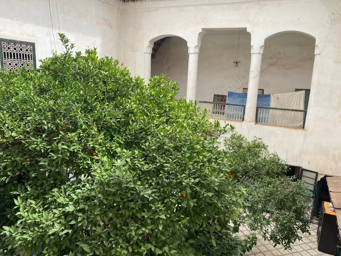 Riad de 297 m² au sol à rénover – Derb Dabachi - مراكش (3)