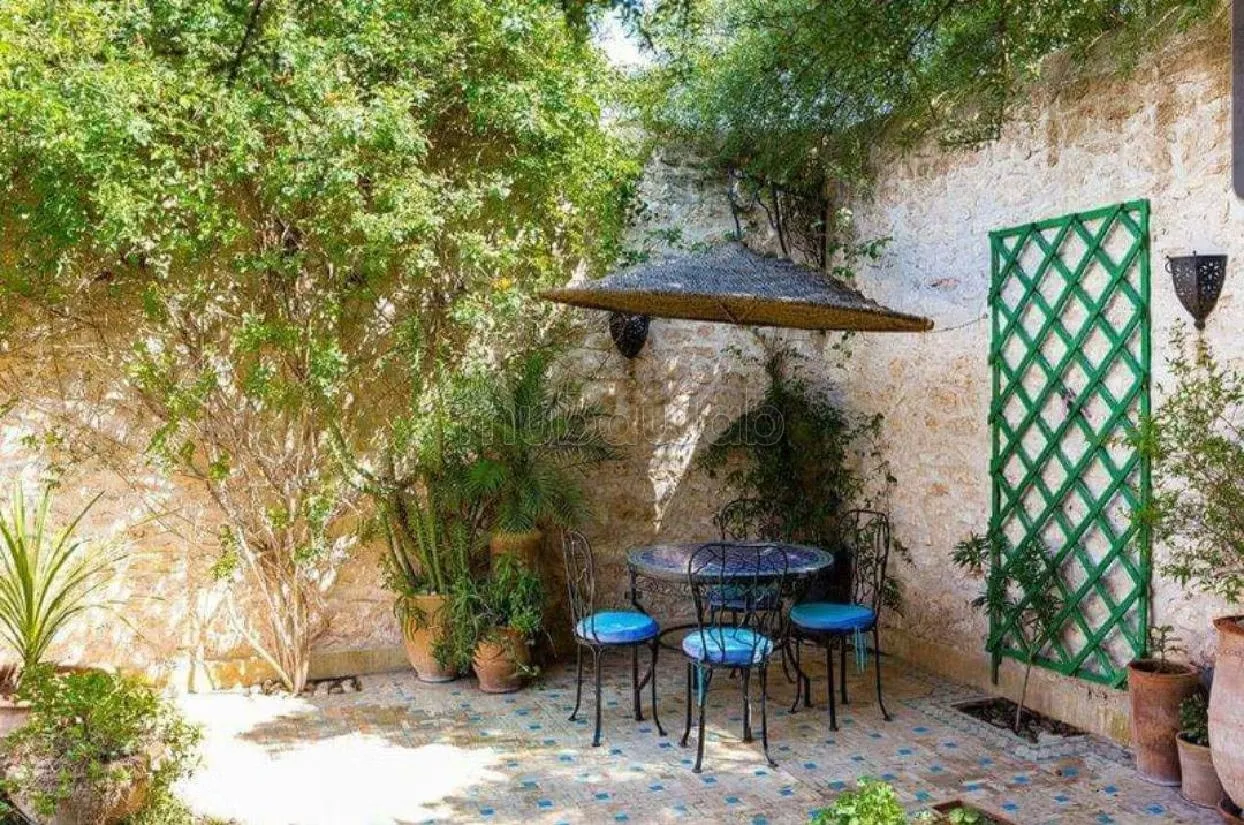 Riad exceptionnel catégorie 2 Essaouira - الصويرة (2)