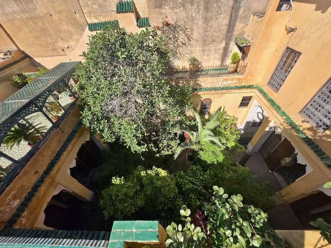 Riad de charme avec grand patio jardiné - فاس (2)