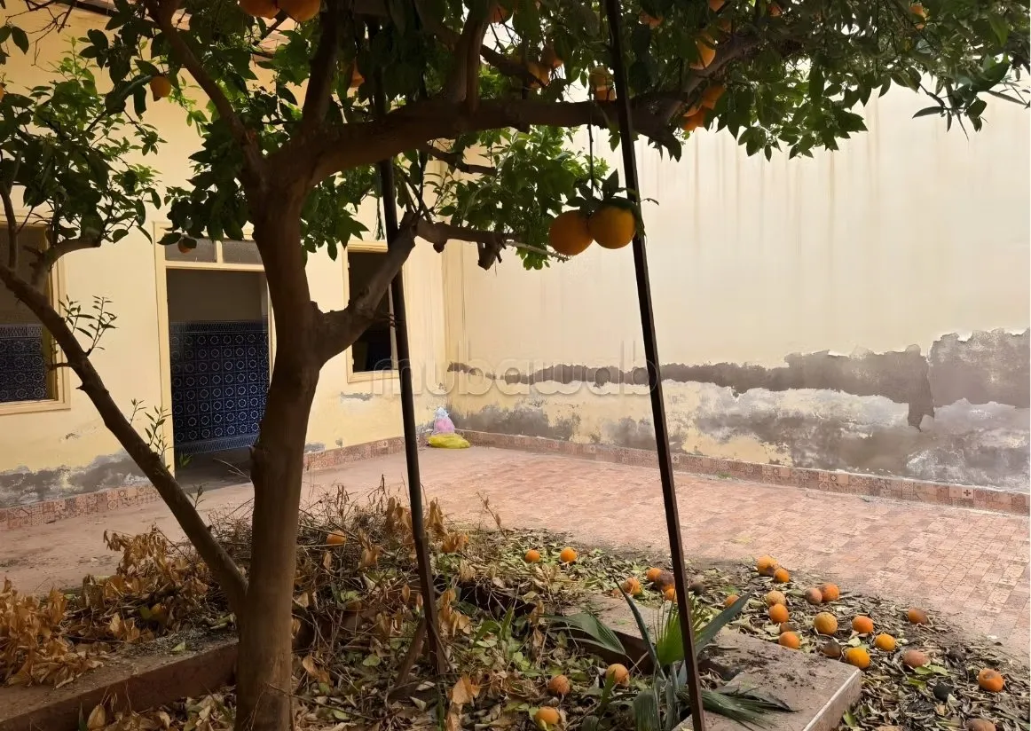 Riad à vendre quartier Kasbah VE26093 - مراكش (3)