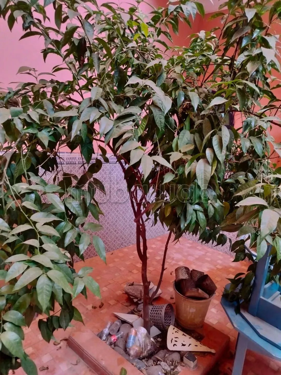 Beau riad titré 176 m2 en vente à Marrakech - مراكش (2)