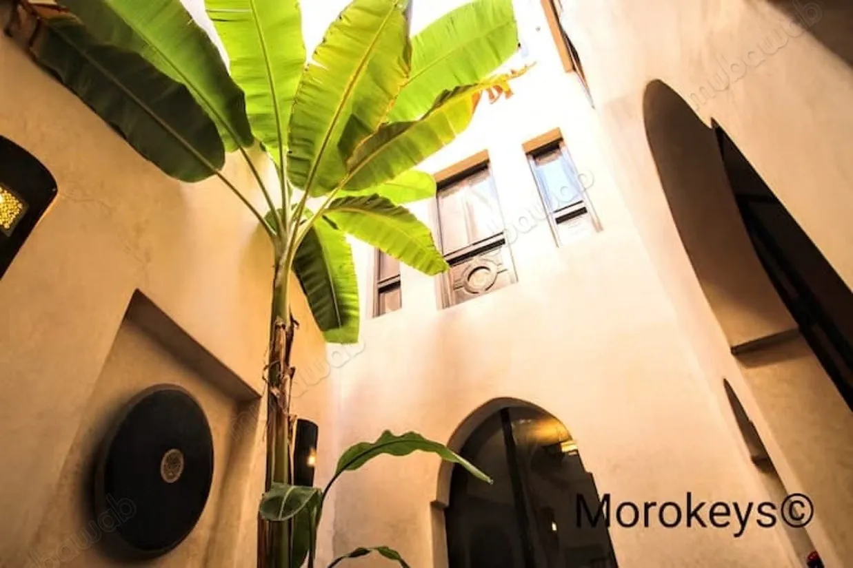 Somptueux riad à vendre - مراكش