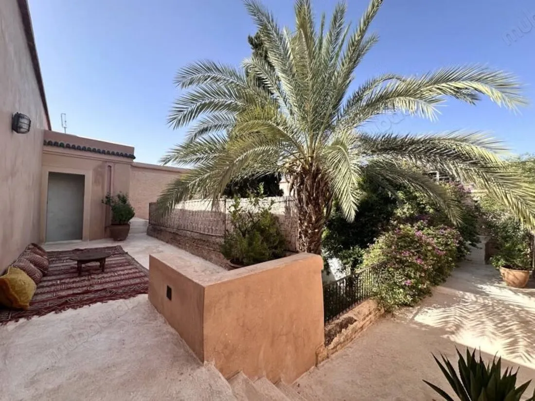 Rare. Authentique riad 18ème/19ème 2 magnifiques patios jard... - مراكش (3)