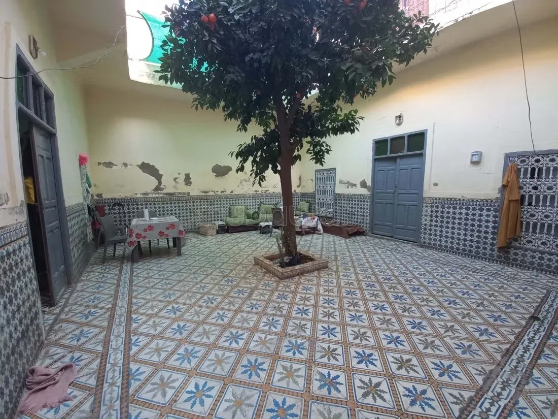 DOUAR GRAOUA riad à rénover, terrain adjacent - مراكش (2)