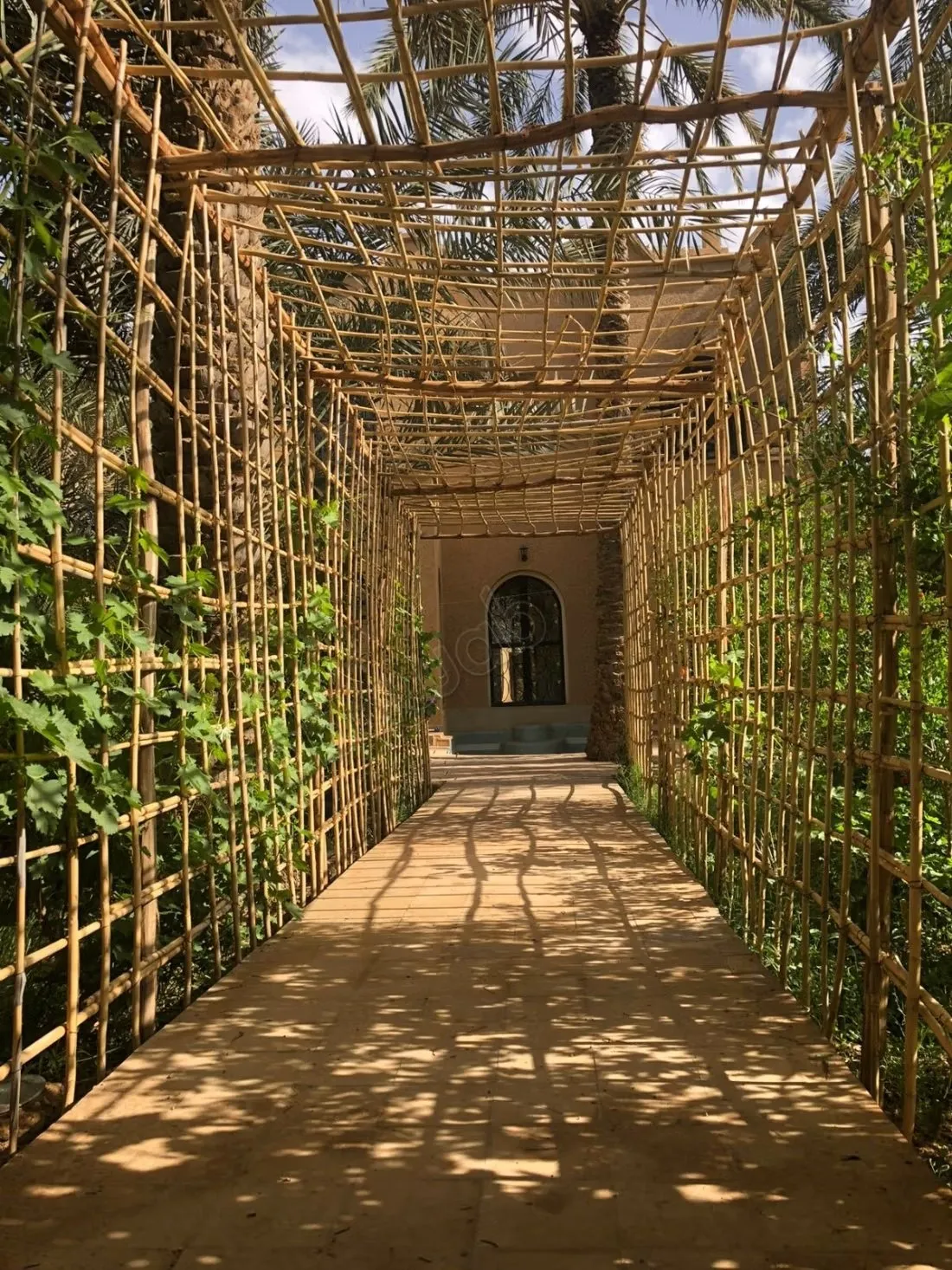 Trouvez votre riad à acheter à Arfoud. 
5 belles chambres. 
... - Arfoud (3)