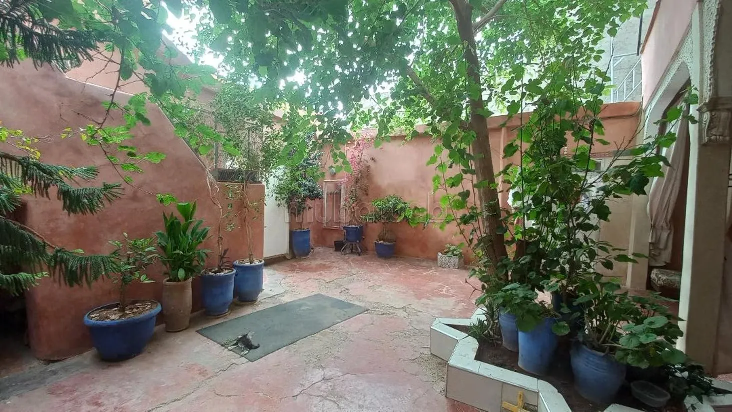 KASBAH, spacieux riad à rénover - مراكش
