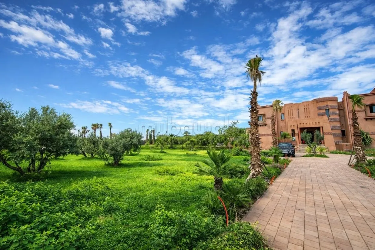 Maison d’hôtes de prestige en location gérance - مراكش