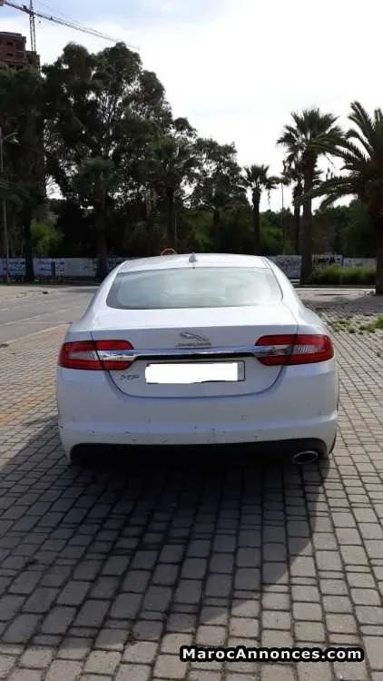 Jaguar xf 2015 - الدار البيضاء (2)