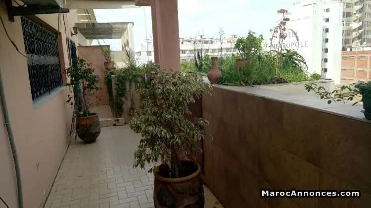 Appartement   centre ville - الدار البيضاء (3)