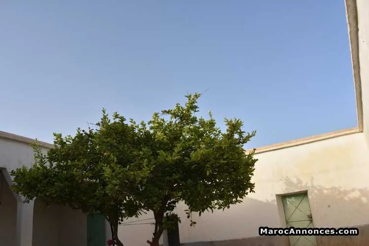 Maison marrakech - مراكش
