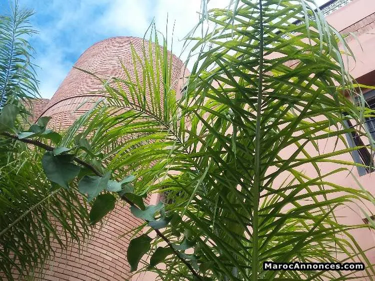 à vendre belle villa à marrakech. - مراكش (3)