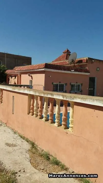 Villas de 1000 m - الوليدية (3)