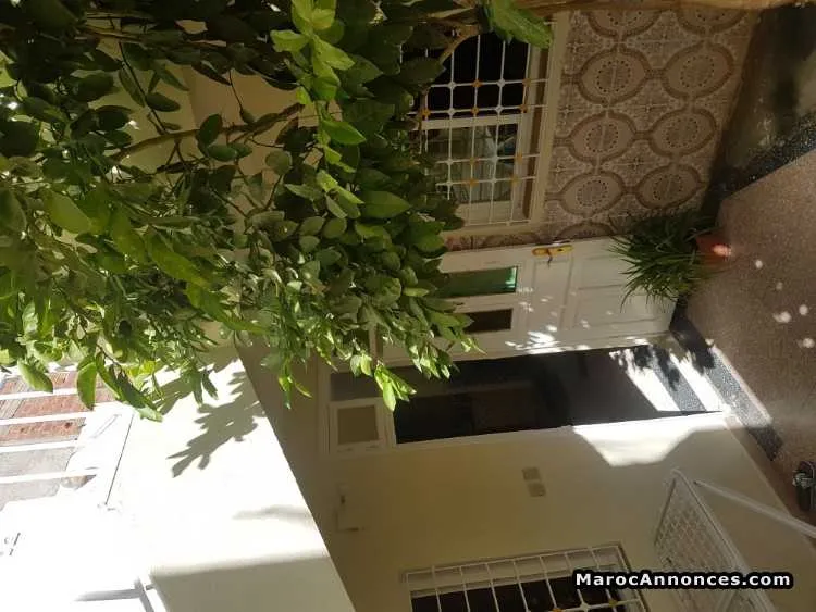 Maison a hay zaytoun oujda - وجدة (3)