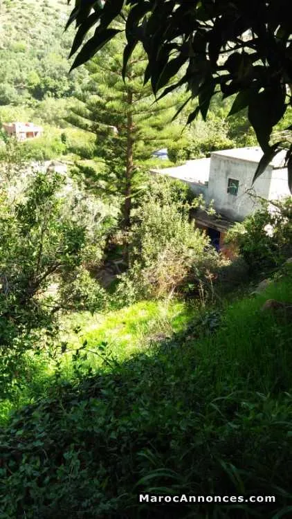 Villa et commerce vallée d'ourika - مراكش (2)