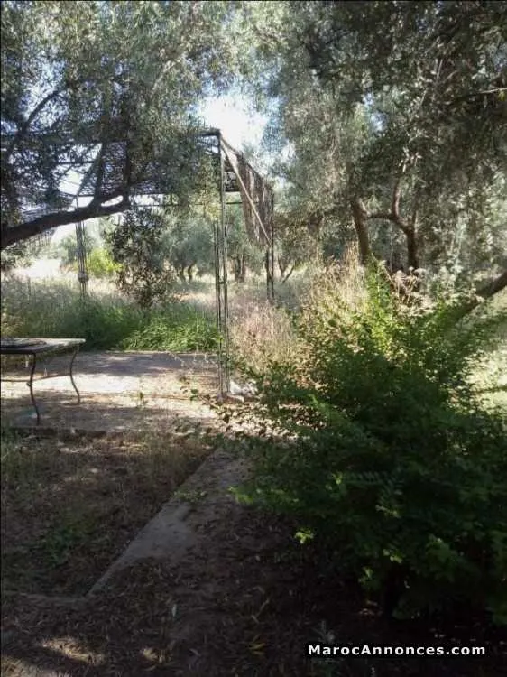 Maison sur un terrain de 5000 m2 route de fes - مراكش (3)