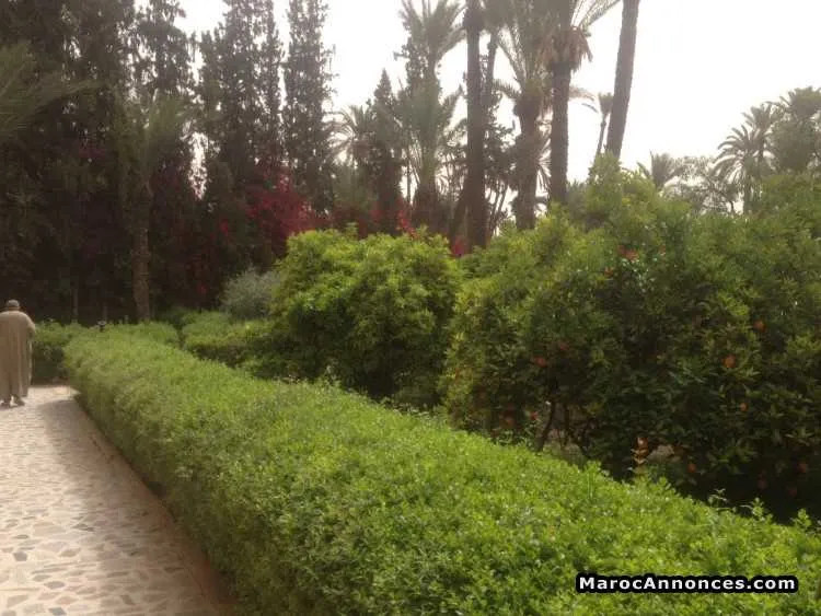 Villa a vendre a marrakech ourika 100million - مراكش (2)