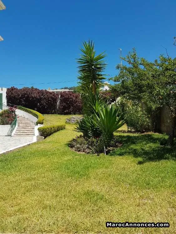 Villa de 1365 m2 en vente à jbel kbir - طنجة (2)