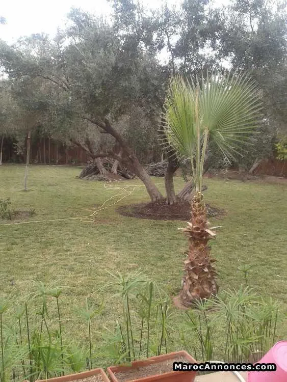 Villa route de fes km 16 marrakech - مراكش