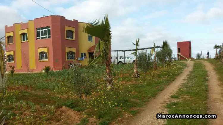 Ferme a vendre 1,5 he  khmissat - الخميسات (2)
