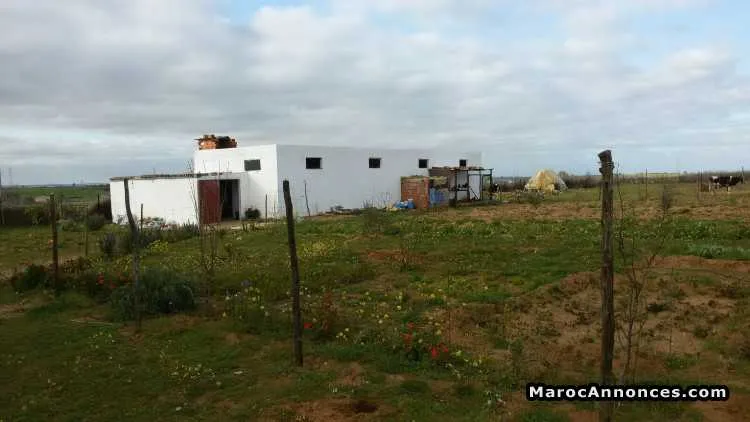 Ferme a vendre 1,5 he  khmissat - الخميسات (3)