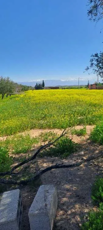 Terrain a vendre - مراكش