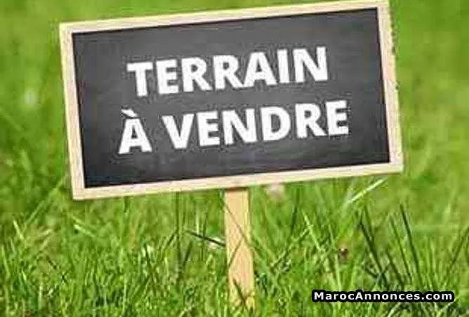 Terrain 2000 m2 sur boulevard a palmeraie - مراكش