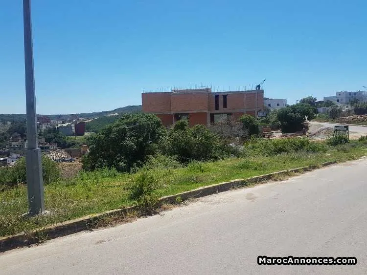 Terrain de 1027 m2 avec plan autorisé à jbel kbir - طنجة (3)