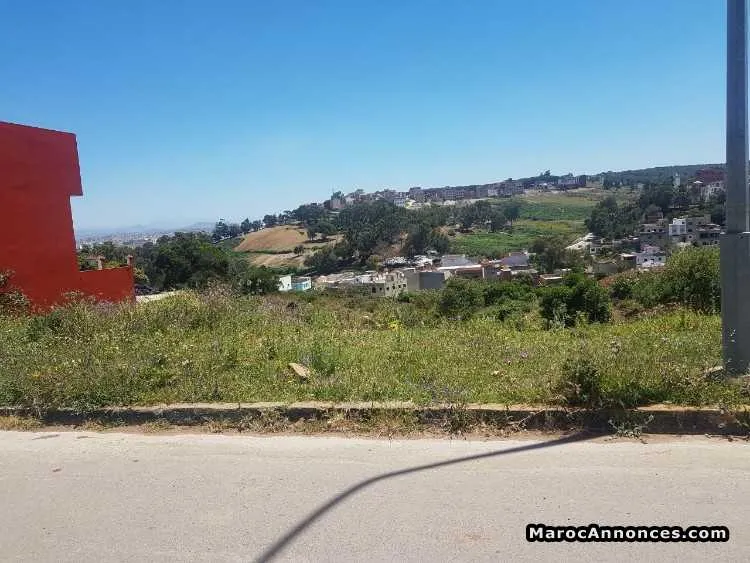 Terrain de 1027 m2 avec plan autorisé à jbel kbir - طنجة (2)