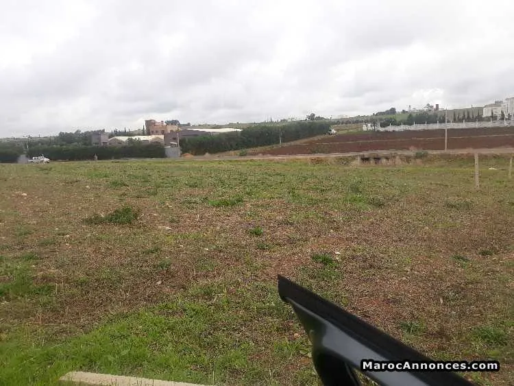 Terrain a vendre de 1hectar 3500m a had soualem - Autre ville /
