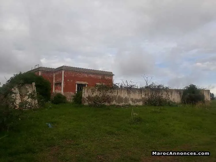 Terrain a vendre de 1hectar 3500m a had soualem - Autre ville / (2)