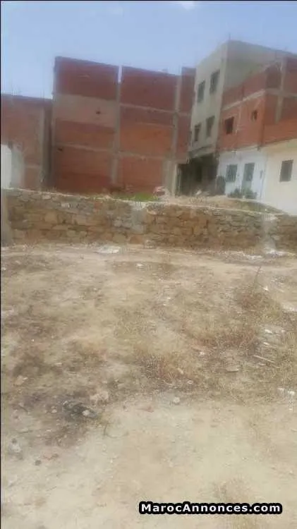 Terrain adulaire quartier khandak al ward - طنجة (3)