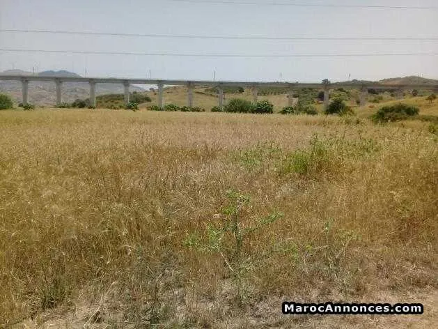 Terrains molkia alhad gharbia de 495m2 - طنجة (2)
