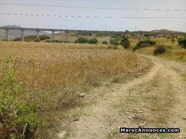 Terrains molkia alhad gharbia de 495m2 - طنجة